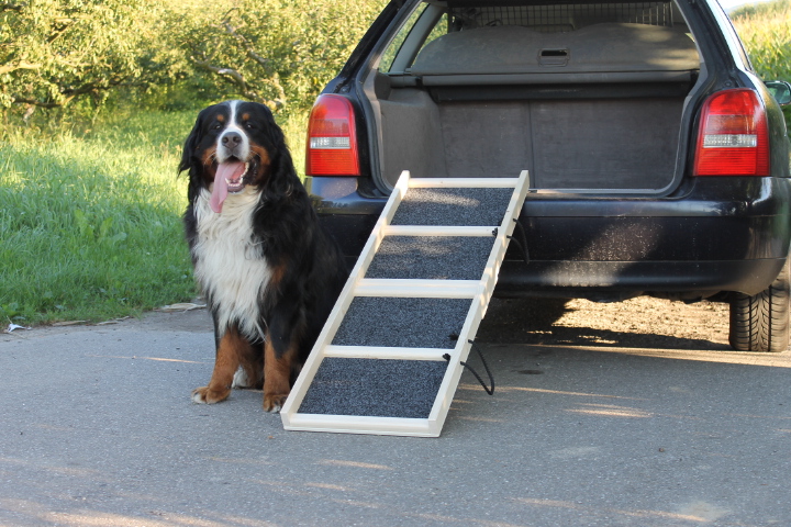 120x40_Komfort_natur_Rasen