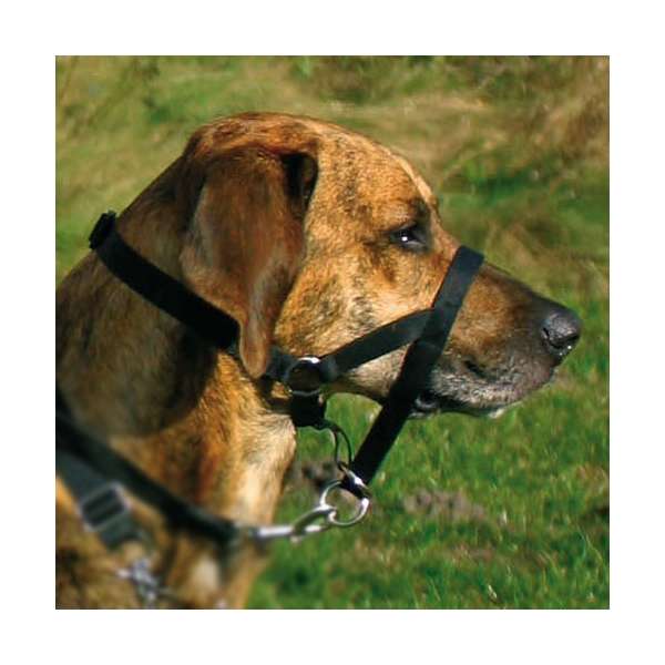 13001-trxi-var_keq9-a1