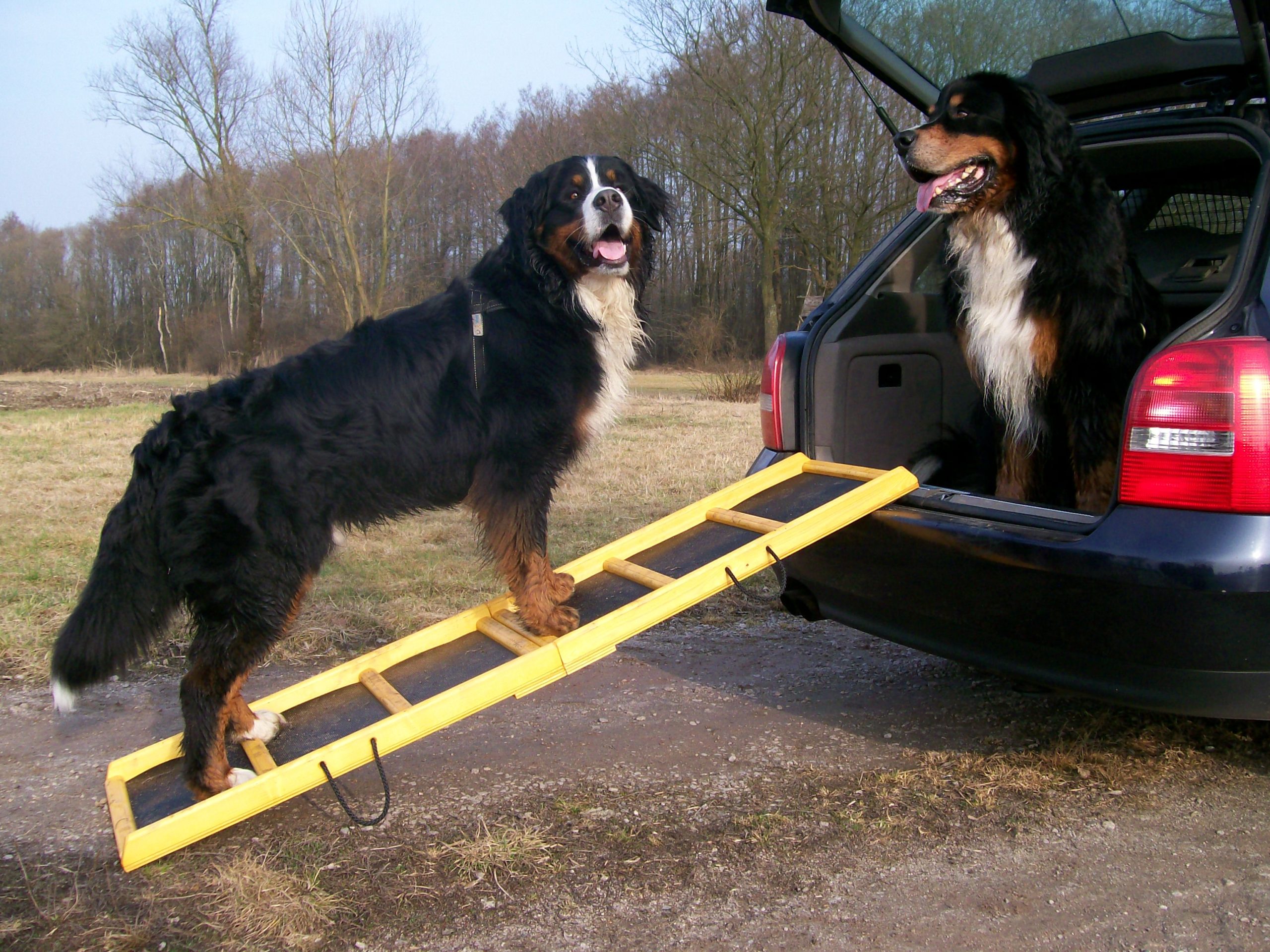 160x40_Komfort_impr._Gummim.