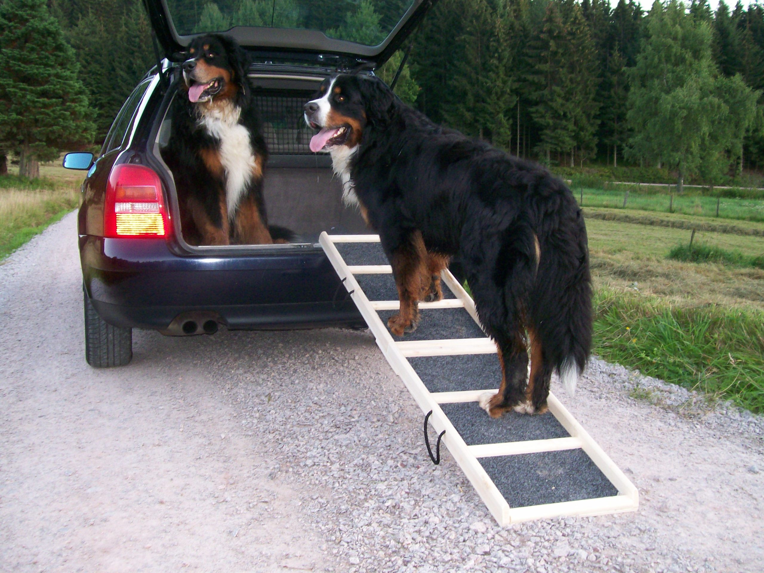 160x40_Komfort_natur_Rasen