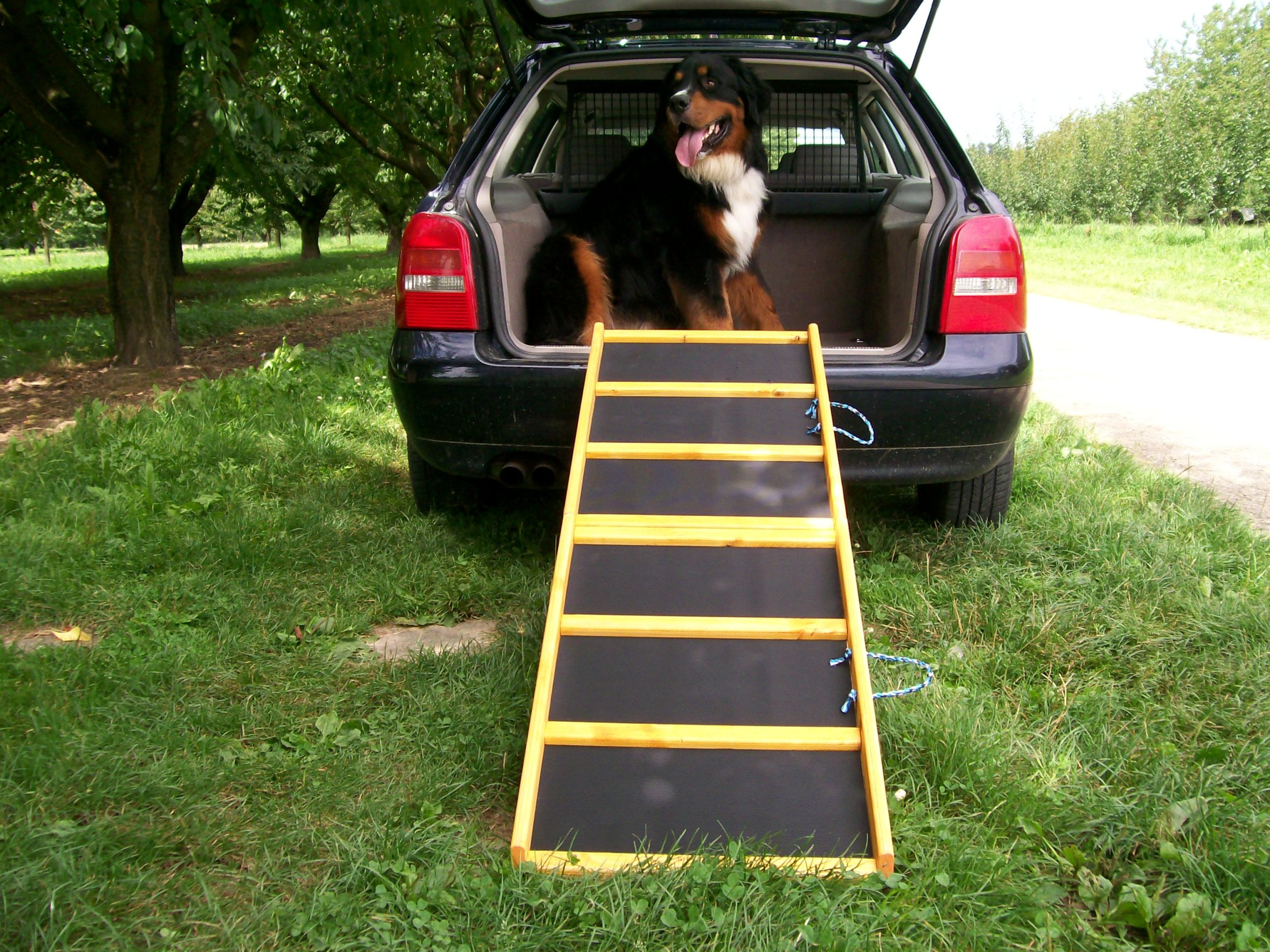 160x50_Komfort_impr._Gummim._2