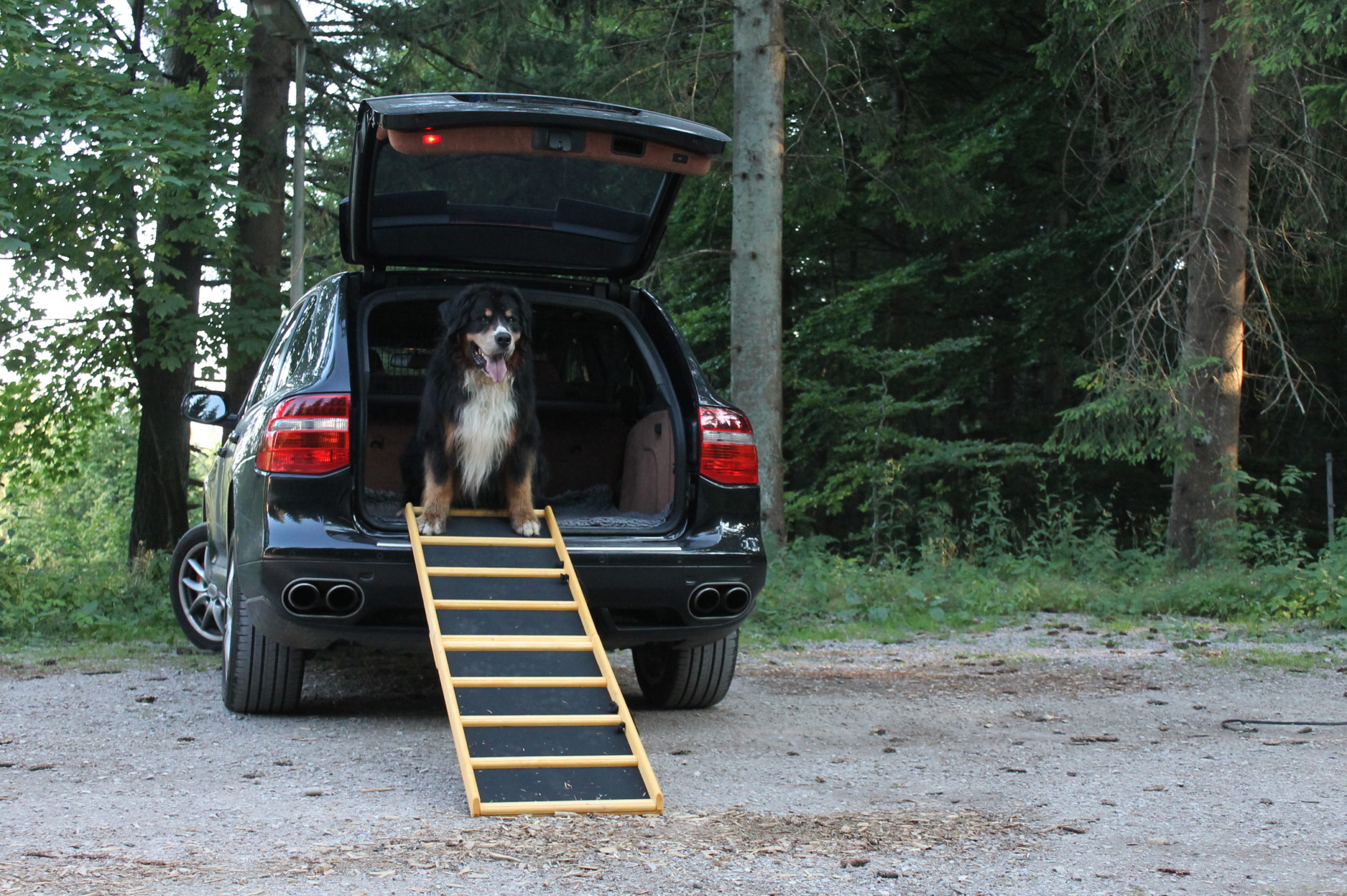 200x50_Komfort_impr._Gummim.2