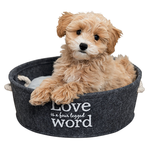 38395_38396_bett_lian_4