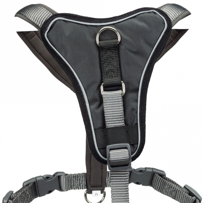 1998016-trxi-1_u4om-w0