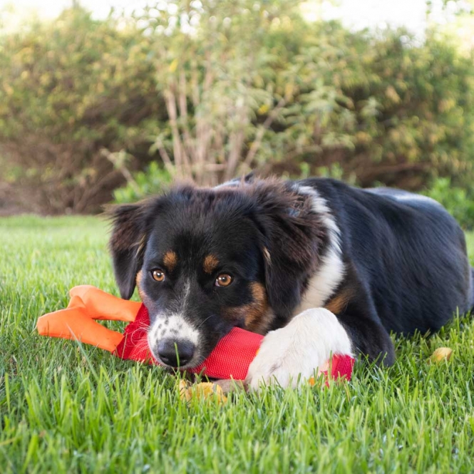 hozi002a-hac-var-1_9qmz-69-1