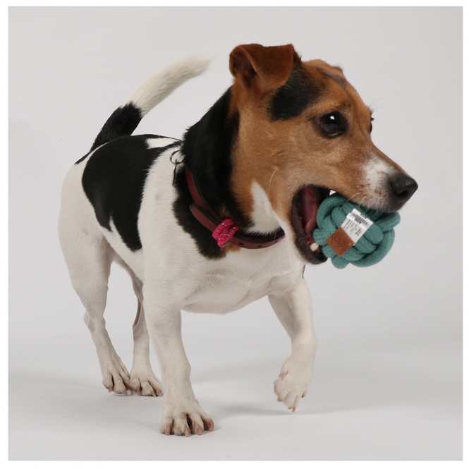 4047059480267_sc1_webl_x713-uu