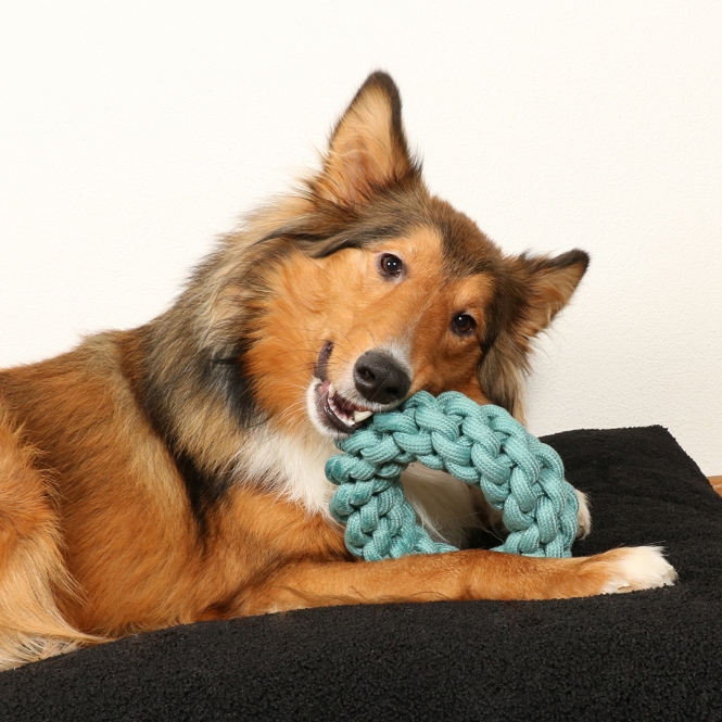 4047059480335_sc1_webl_bdts-82-1